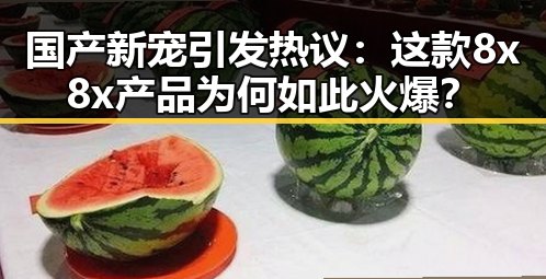 国产新宠引发热议：这款8x8x产品为何如此火爆？